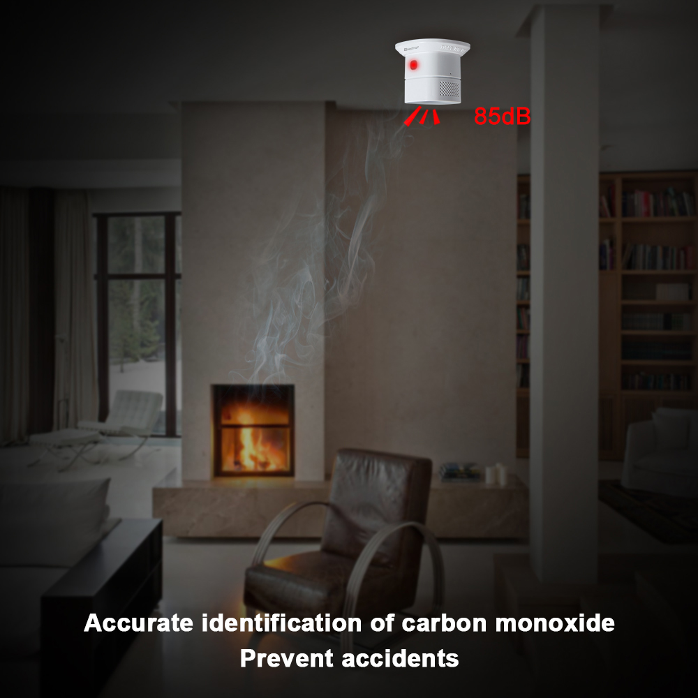 Heiman Zigbee Koolmonoxide Det - Smoke Leak Detector recensie en prijs